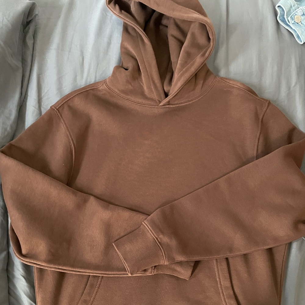Men Hoodie in Brown